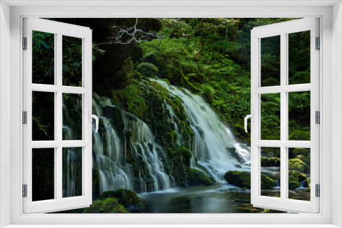 Fototapeta Naklejka Na Ścianę Okno 3D - 苔が生えた緑の岩と滝の流れ
