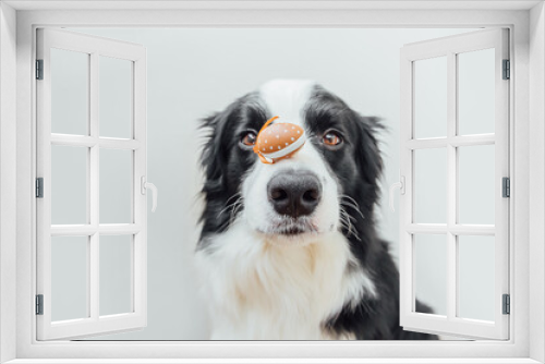 Fototapeta Naklejka Na Ścianę Okno 3D - Happy Easter concept. Preparation for holiday. Cute puppy dog border collie holding Easter eggs on nose isolated on white background. Spring greeting card, postcard background banner on Easter