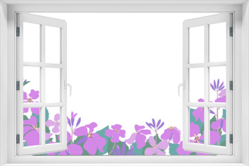 Fototapeta Naklejka Na Ścianę Okno 3D - ムラサキハナナ（紫花菜）ショカツサイ（諸葛菜）花大根のイラストフレーム　はがきサイズ横型