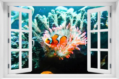 Fototapeta Naklejka Na Ścianę Okno 3D - tropical fish