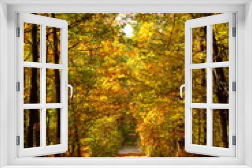 Fototapeta Naklejka Na Ścianę Okno 3D - Autumn road