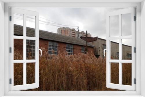 Fototapeta Naklejka Na Ścianę Okno 3D - Thickets of reeds in front of brick building. Old technological building.