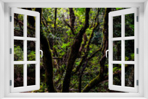 Fototapeta Naklejka Na Ścianę Okno 3D - Madeira - Santo António da Serra