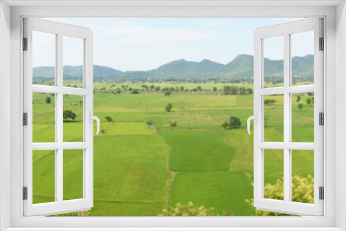 Fototapeta Naklejka Na Ścianę Okno 3D - Landscape with green fields, green fields