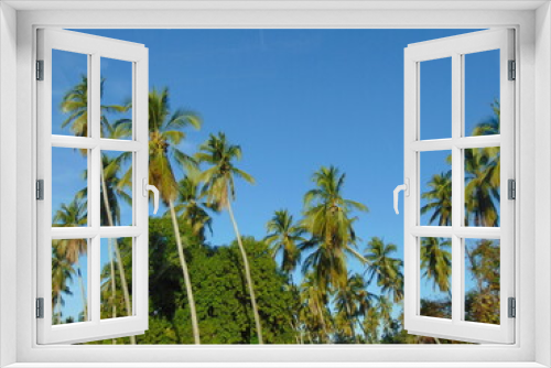 Fototapeta Naklejka Na Ścianę Okno 3D - coconut trees