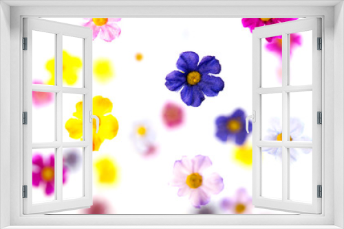 Fototapeta Naklejka Na Ścianę Okno 3D - Flower background