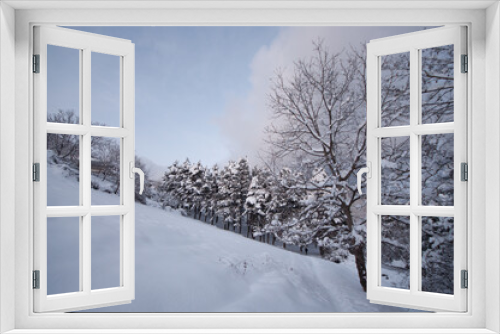 Fototapeta Naklejka Na Ścianę Okno 3D - Winter trees in mountains covered with fresh snow. Beautiful landscape with branches of trees covered in snow. Mountain road in Caucasus. Azerbaijan