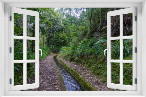Fototapeta Naklejka Na Ścianę Okno 3D - Hiking path in the forest by Levada do Rei
