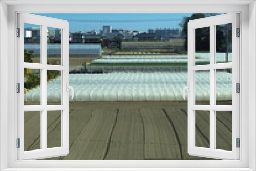 Fototapeta Naklejka Na Ścianę Okno 3D - 江戸川土手から見た早春の近郊の野菜畑風景