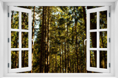 Fototapeta Naklejka Na Ścianę Okno 3D - forest in autumn, Plzen