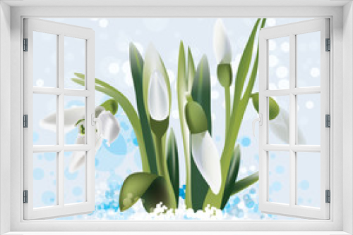Fototapeta Naklejka Na Ścianę Okno 3D - snowdrop in snow, vector illustration