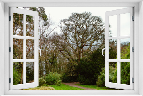 Fototapeta Naklejka Na Ścianę Okno 3D - Blarney Castle and Gardens