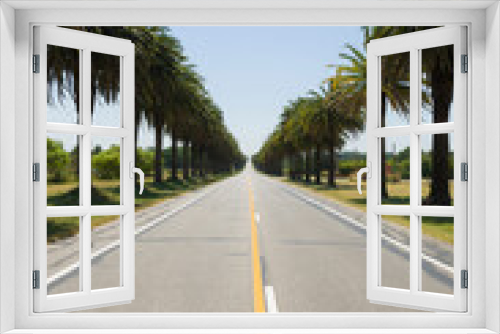 Fototapeta Naklejka Na Ścianę Okno 3D - Beautiful view of the Canary palm road, located on the road that