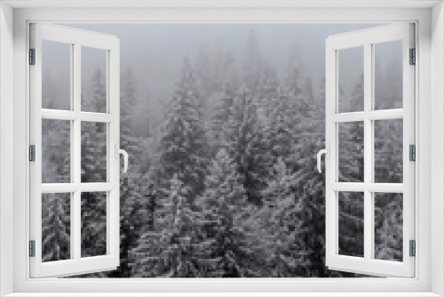 Fototapeta Naklejka Na Ścianę Okno 3D - Fog in the forest. Snow covered fir trees. Frosty forest in mountains. Aerial view above Carpathian mountains. Trees in snow