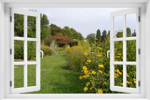 Fototapeta Naklejka Na Ścianę Okno 3D - Botanischer Garten am Schloss Poppelsdorf