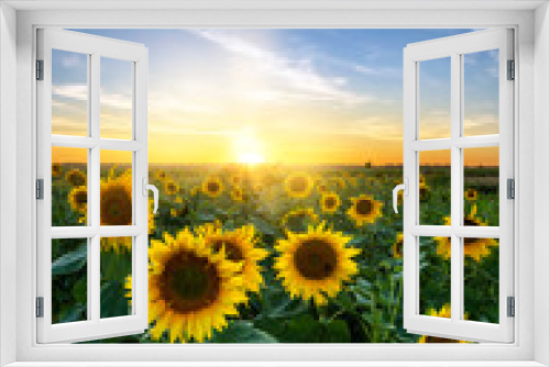 Fototapeta Naklejka Na Ścianę Okno 3D - Beautiful sunset over sunflowers field