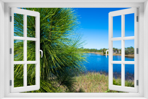 Fototapeta Naklejka Na Ścianę Okno 3D - Pine Needles With Lake background And Blue Sky