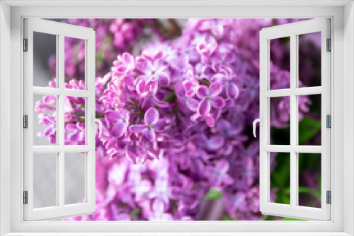 Fototapeta Naklejka Na Ścianę Okno 3D - Purple lilac flowers blossom in garden, spring background