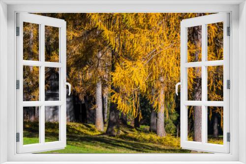 Fototapeta Naklejka Na Ścianę Okno 3D - Autumn in Val Fiscalina, Dolomites Park.