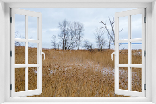 Fototapeta Naklejka Na Ścianę Okno 3D - Bare island and a desolate winter landscape