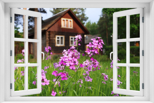Fototapeta Naklejka Na Ścianę Okno 3D - Blooming willow-tea flower on the background of a village house out of focus. Pastoral summer landscape. Vacation in the countryside. a trip to the villag