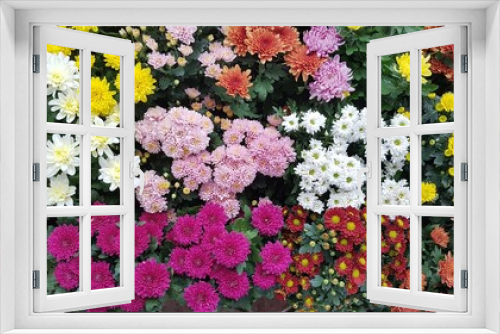 Fototapeta Naklejka Na Ścianę Okno 3D - colorful flowers background