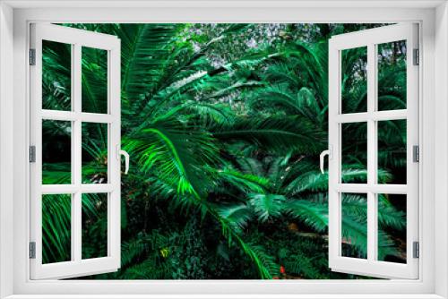 Fototapeta Naklejka Na Ścianę Okno 3D - beautiful background of tropical green leaves