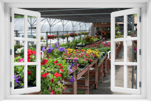 Fototapeta Naklejka Na Ścianę Okno 3D - greenhouse with flowers