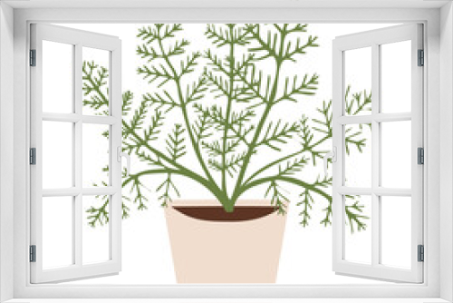 Fototapeta Naklejka Na Ścianę Okno 3D - Indoor potted plant asparagus fern illustration