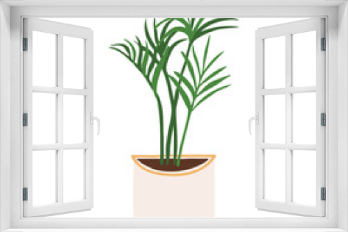 Fototapeta Naklejka Na Ścianę Okno 3D - Indoor potted plant kentia illustration