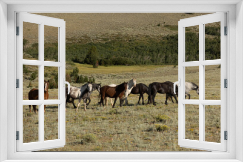 Fototapeta Naklejka Na Ścianę Okno 3D - Wild Horse Sanctuary 