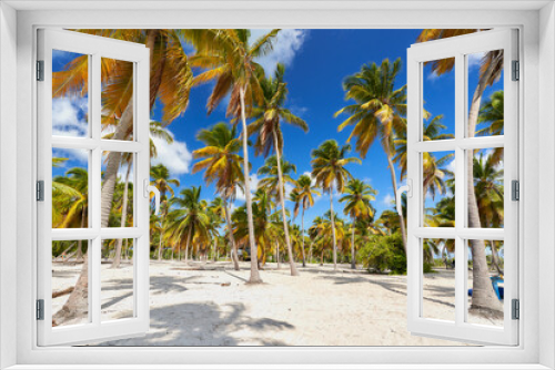 Fototapeta Naklejka Na Ścianę Okno 3D - Isla Saona palmeras - República Dominicana