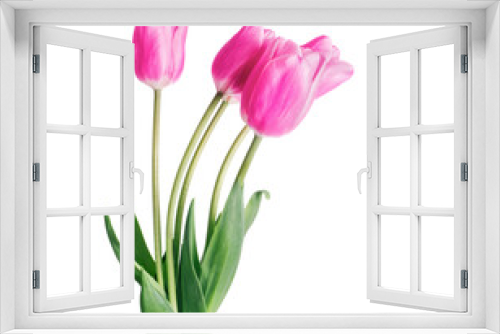 Fototapeta Naklejka Na Ścianę Okno 3D - Bouquet of five pink tulips isolated on white background