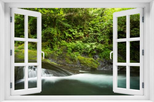 Fototapeta Naklejka Na Ścianę Okno 3D - 豊かな緑の脇を流れる川