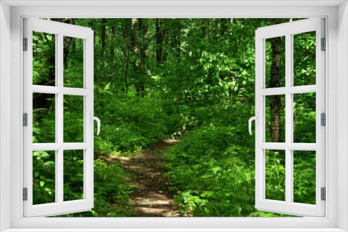 Fototapeta Naklejka Na Ścianę Okno 3D - Nature is the world around us, not created by man. That which is primary, which appeared long before man. The natural habitat of man. Forests, mountains, seas, oceans, flora, fauna, and man himself.