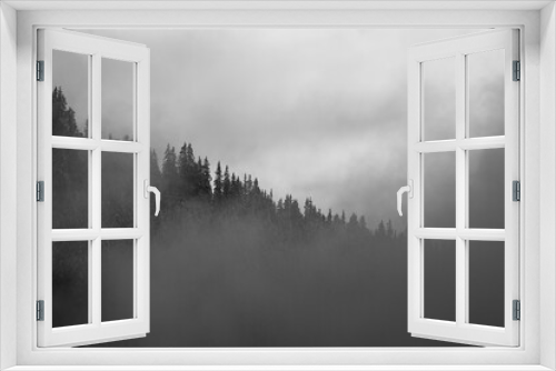 Fototapeta Naklejka Na Ścianę Okno 3D - black and white photo of a misty morning in the forest