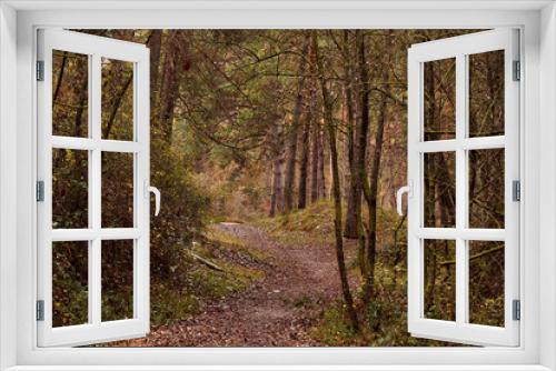 Fototapeta Naklejka Na Ścianę Okno 3D - Path through the forest in autumn