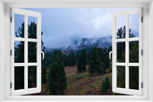 Fototapeta Naklejka Na Ścianę Okno 3D - foggy morning in the forest in the altai mountains