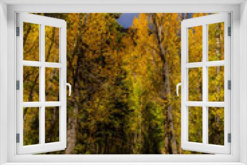 Fototapeta Naklejka Na Ścianę Okno 3D - beautiful fall scene with trees