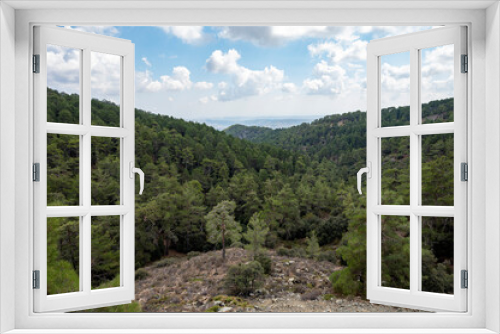 Fototapeta Naklejka Na Ścianę Okno 3D - Evergreen pine trees growing in high Troodos mountains on Cyprus