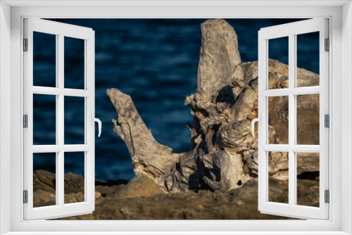 Fototapeta Naklejka Na Ścianę Okno 3D - Strandgut Son Serra de Marina Mallorca Spanien