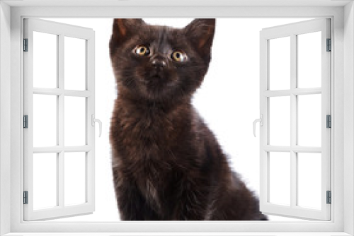 Fototapeta Naklejka Na Ścianę Okno 3D - Black kitten