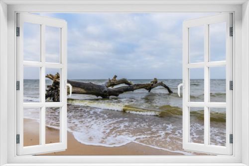Fototapeta Naklejka Na Ścianę Okno 3D - schlafender Baum