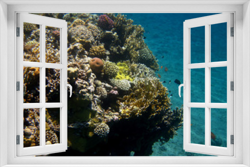 Fototapeta Naklejka Na Ścianę Okno 3D - korallenstock