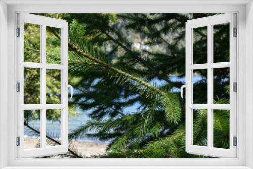 Fototapeta Naklejka Na Ścianę Okno 3D - Vista entre árboles desde la playa del Lago Espejo en Villa La Angostura