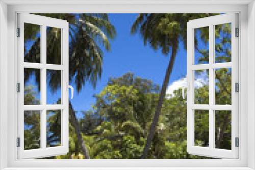 Fototapeta Naklejka Na Ścianę Okno 3D - Tropical garden