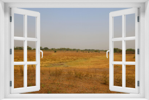 Fototapeta Naklejka Na Ścianę Okno 3D - Landscape view of dry agriculture land during summer in India