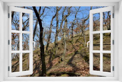 Fototapeta Naklejka Na Ścianę Okno 3D - arid communities of rocky slopes and sparse deciduous forests formed by oaks and hornbeams. unusable forestry habitat rich in trees of various ages