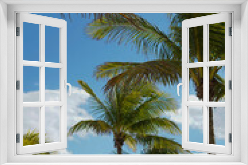 Fototapeta Naklejka Na Ścianę Okno 3D - Imagen de palmeras tropicales en la costa del mar caribe