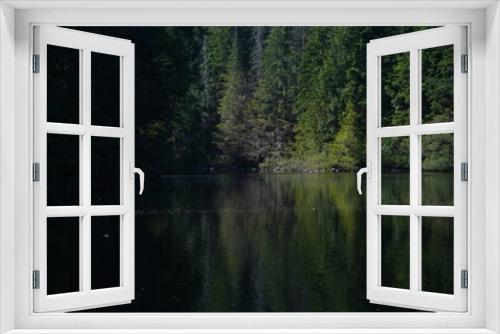 Fototapeta Naklejka Na Ścianę Okno 3D - 暗い森　怖い　陰鬱な　北米　湖　静かな　不気味な